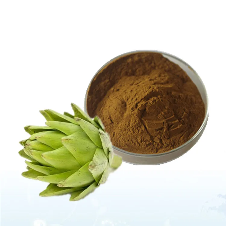 Hot Selling Plant Extract 10:1 Artichoke Extract Powder Cynara Scolymus Extract With Reliable Quality