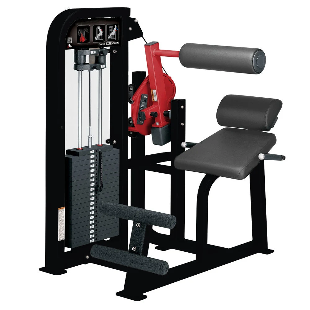 Commercial Fitness Lat Pulldown And Seated Row Machine Fitness Seated Back Extension