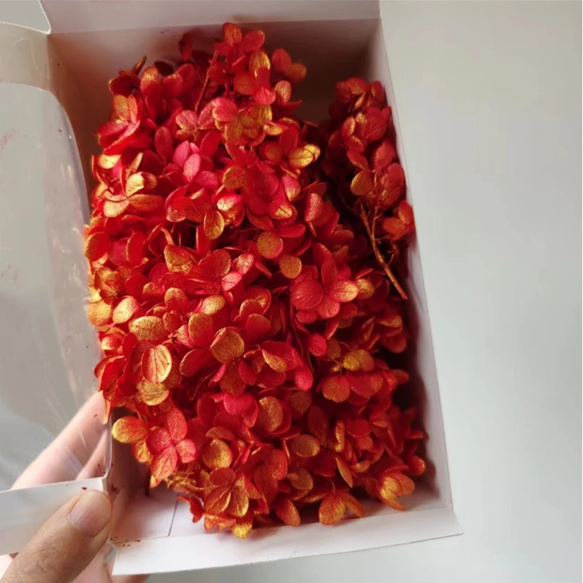 Dried Woody Hydrangea for Christmas Decorations DIY Flower Materials with Drop Glue Accessories Handicrafts