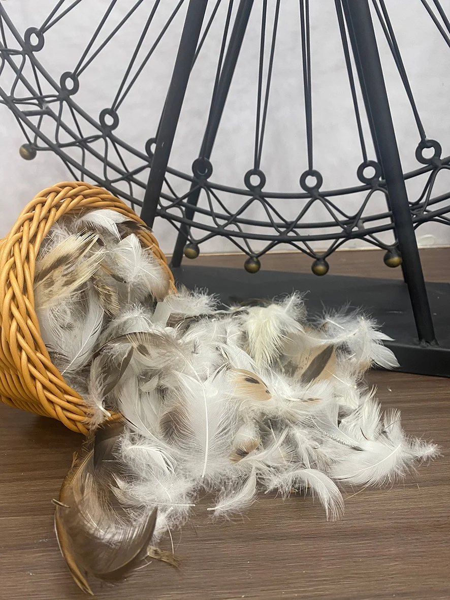 Clean, dust-free and odor-free 2-4cm washed 90% gray duck hair flakes sold wholesale