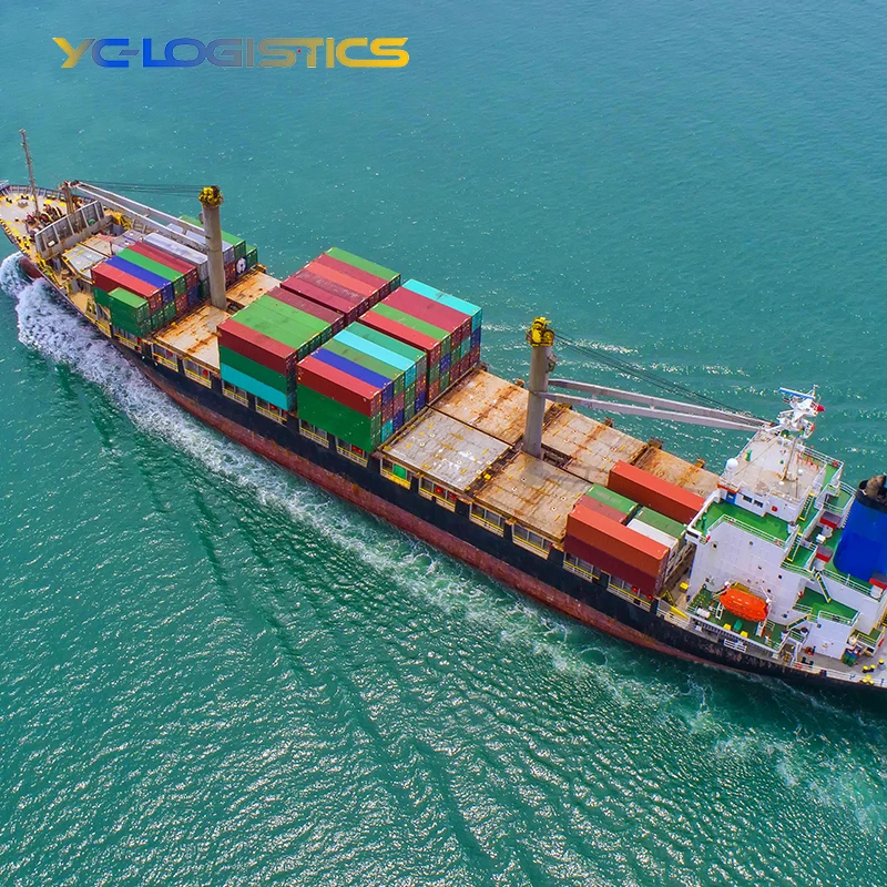 cheap sea freight from china to australia shipping rates from china to usa ddp service free shipping new zealand
