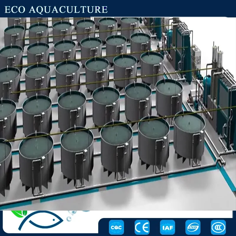 RAS system--Online water quality monitoring/drum filter/UV serilizer