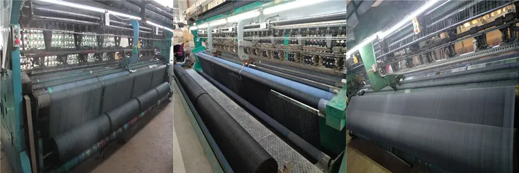 process (2).jpg