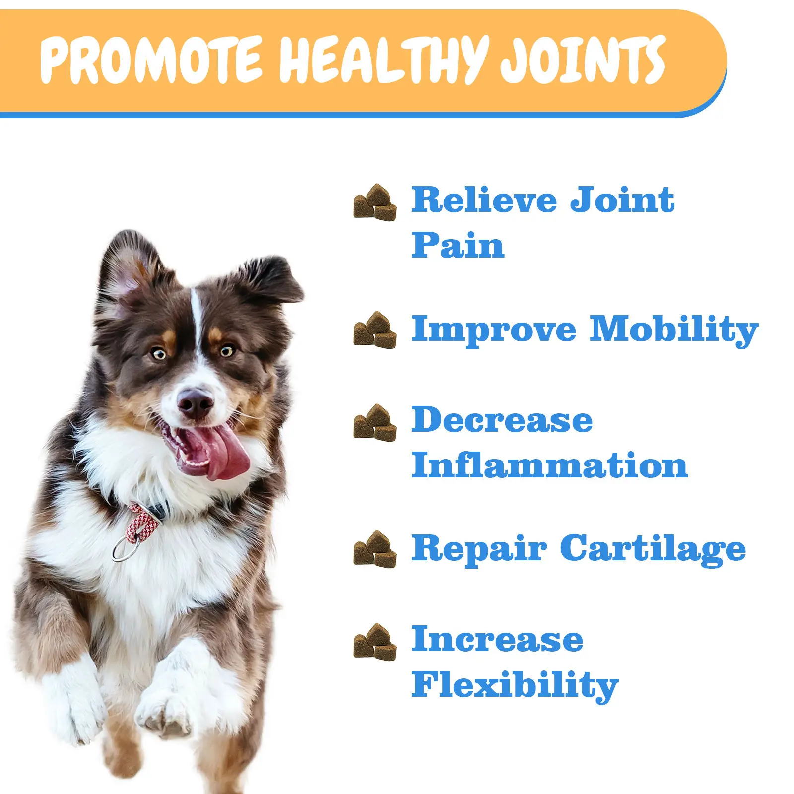 Private label Dog Glucosamine Chews Hip and Joint Supplement for Dogs  Glucosamine for Dogs Natural Pain Relief and Mobility