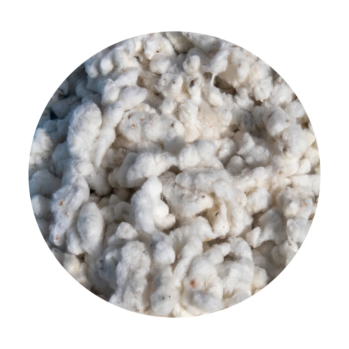 Raw cotton from Kazakhstan 100% natural wholesale raw cotton