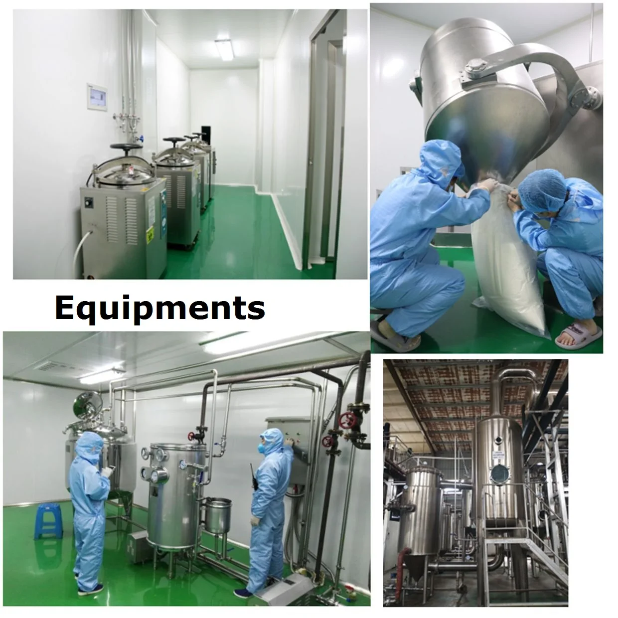 Purity 98% Quercetin Dihydrate Sophora japonica extract Natural Plant-Based Food Additive