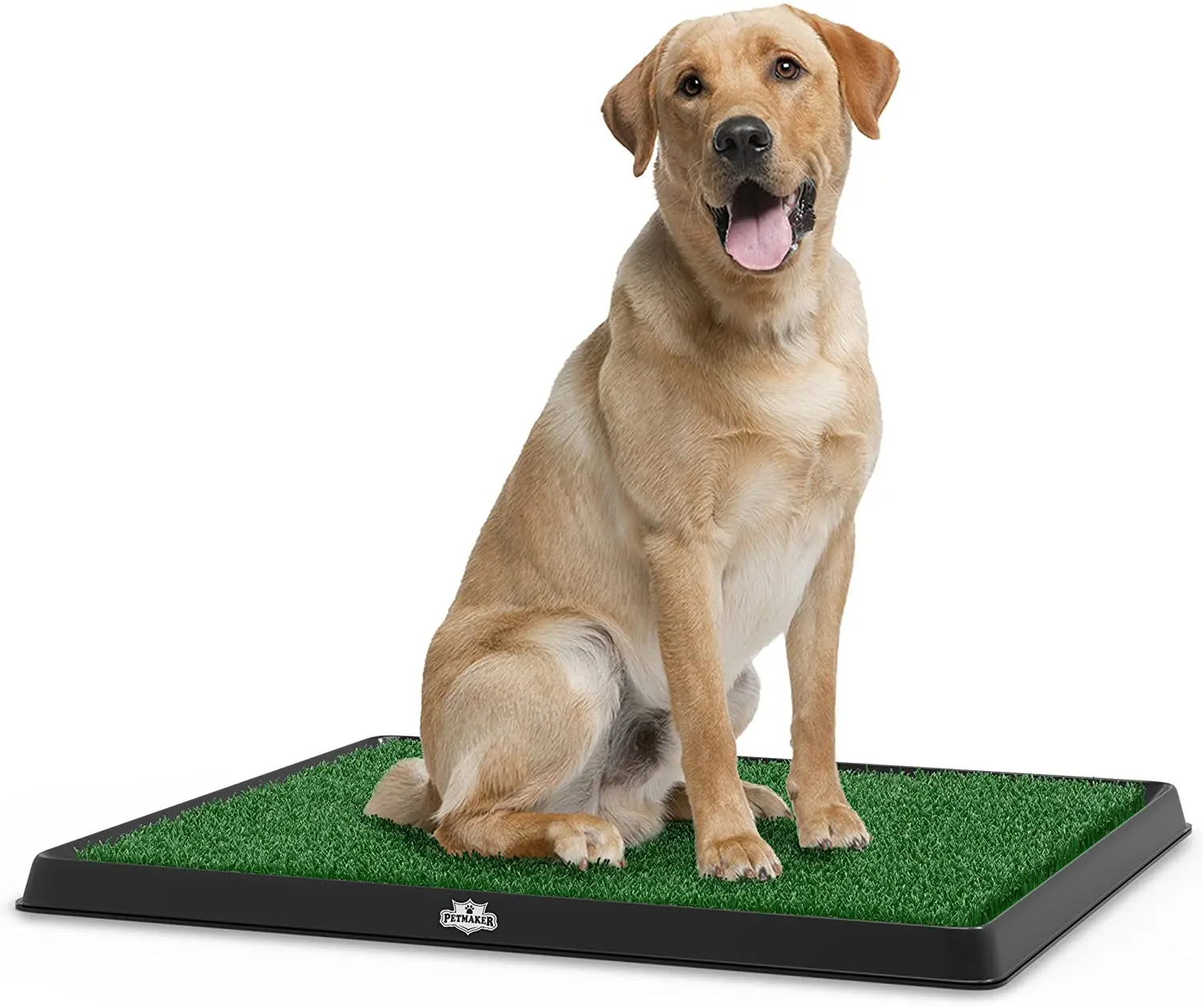 Kingtale Pet Supplier Grass Bathroom Mat For Puppies and Small Pets  Portable Potty Trainer For Indoor and Outdoor