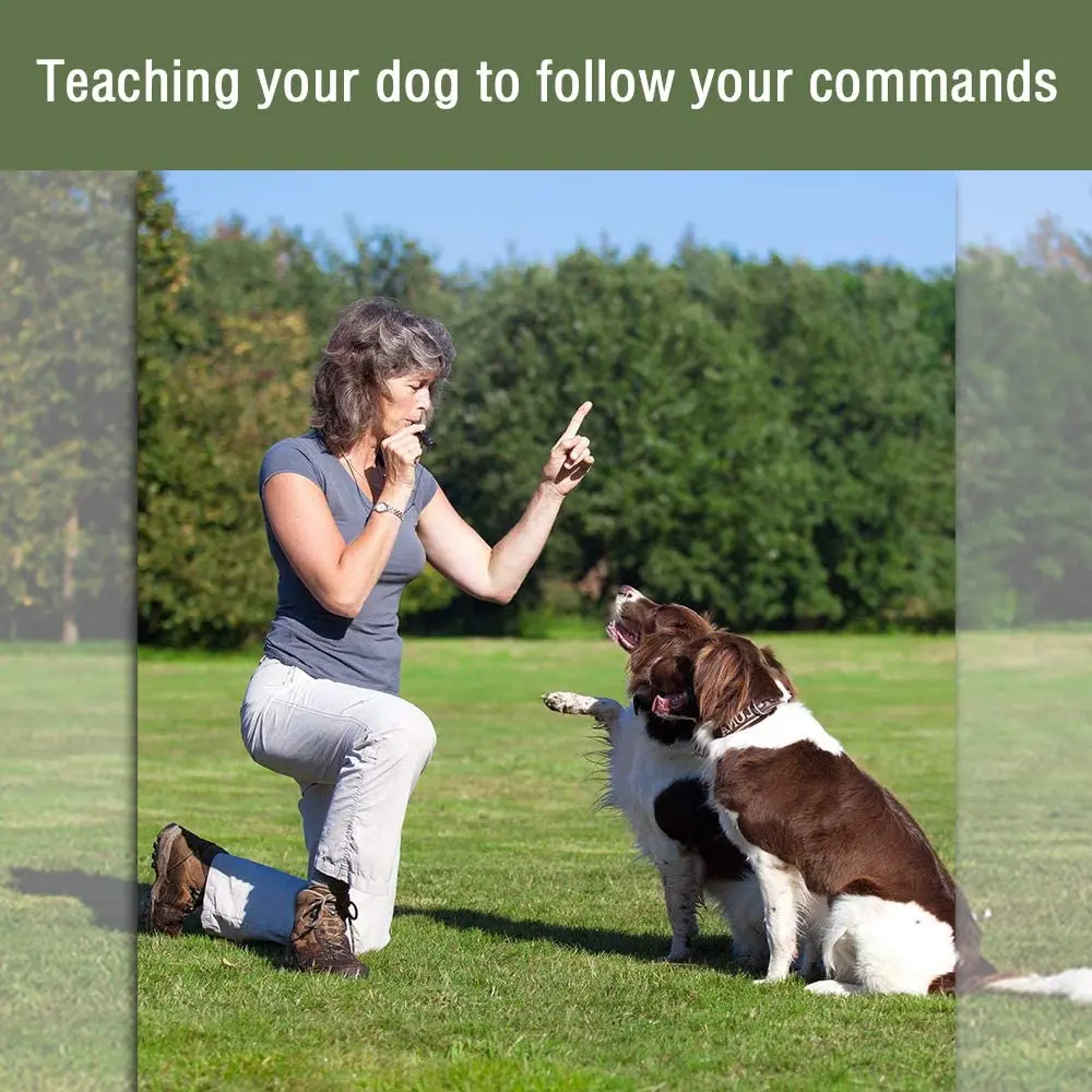 Dog Whistle Free Lanyard for Dog Recall Repel Training Adjustable Frequencies Ultraso Stainless Steel Dog Training Whistle