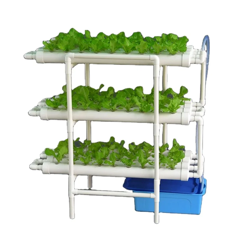 Searea Hydroponics Growing System for vegetable planting