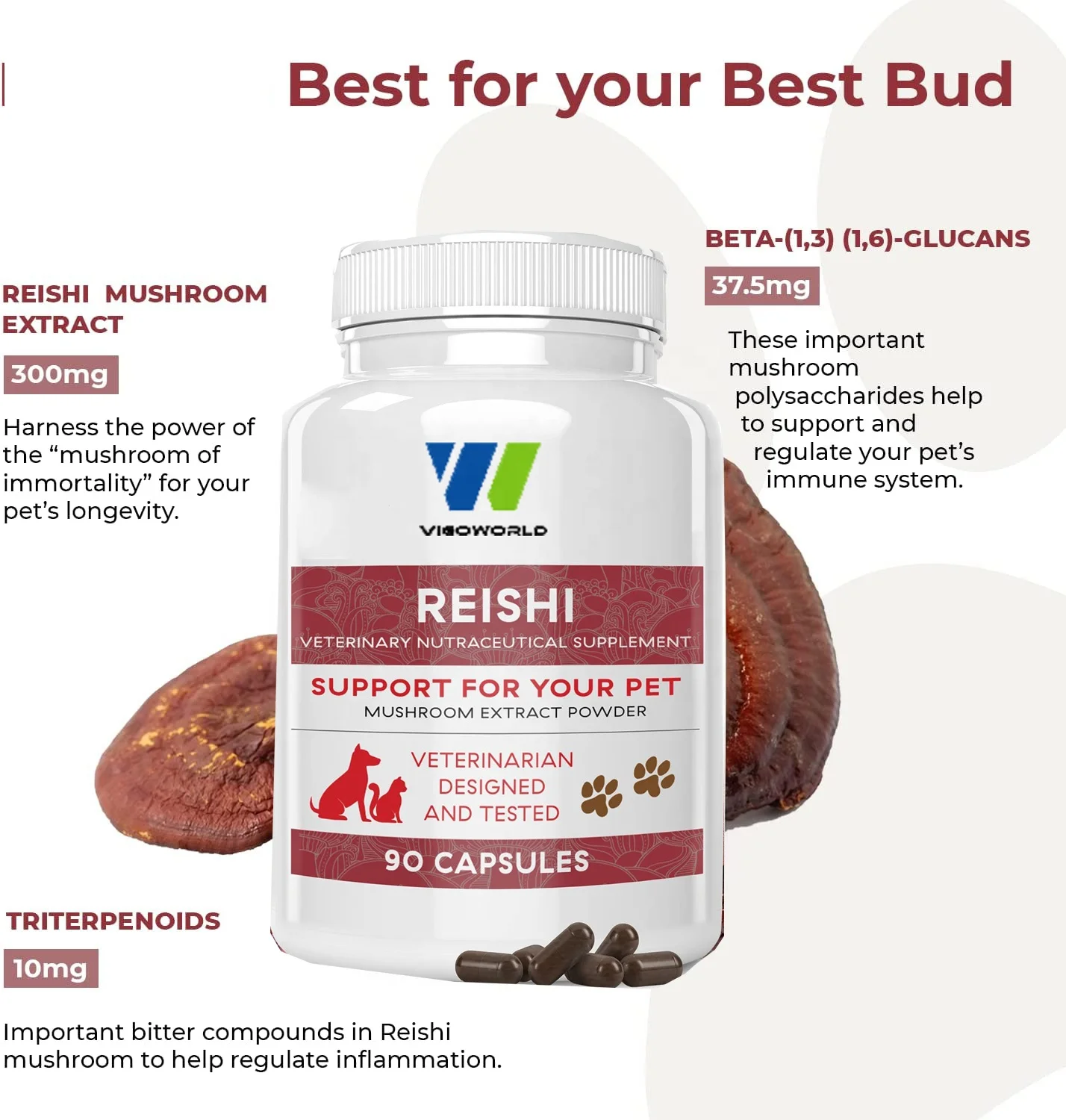 Reishi Mushroom Extract For Dogs And Cats Multivitamins Capsules For Longevity & Relaxation And Supplements