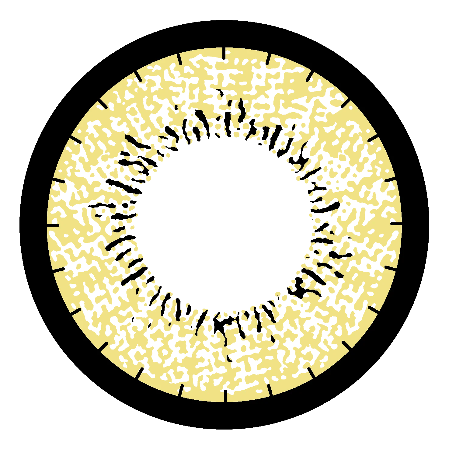 Chinese Professional Brown Beauty Siesta Nonprescription Contact Lenses For Engagement