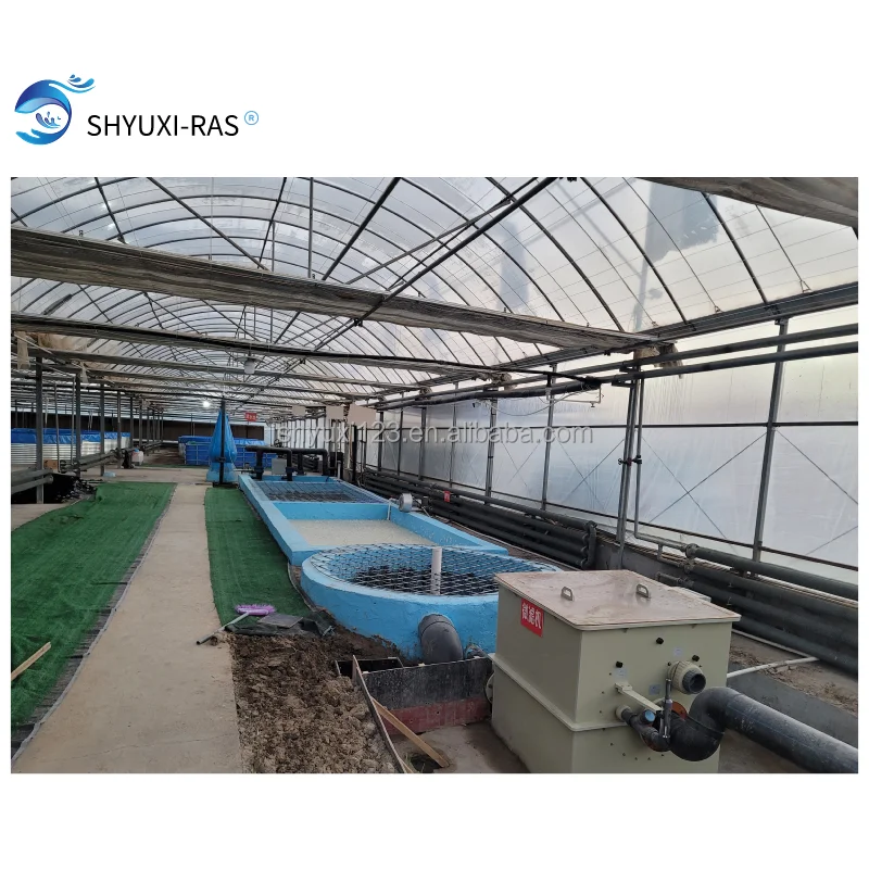 
High Density Recirculating Aquaculture System salmon Farming indoor RAS 