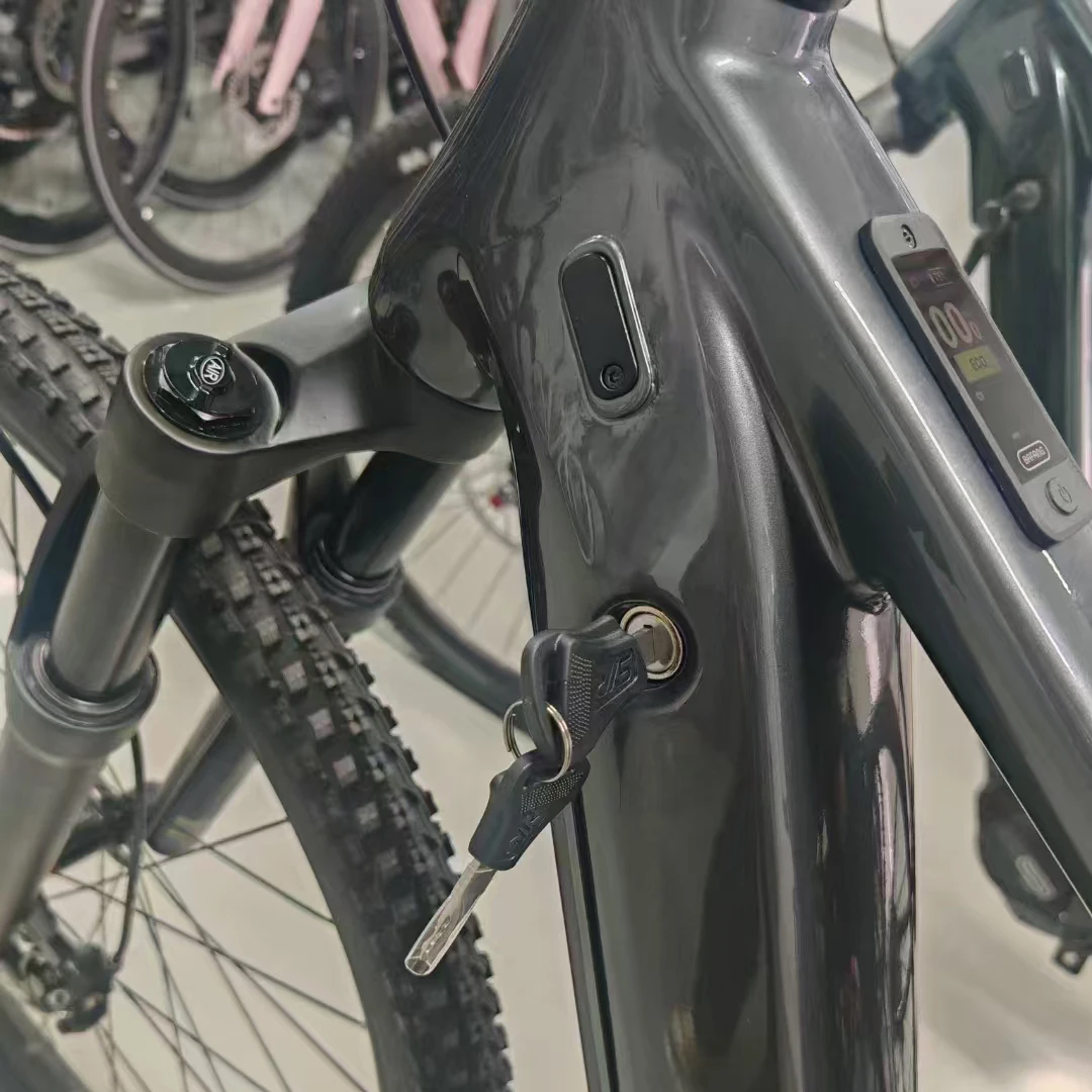 Ebike Bafang M510 Mid Drive Motor DPC030 Build-In Display 720wh e-MTB Inner Cable Frame 29ER 12S UDH Electric Mountain Bicycle
