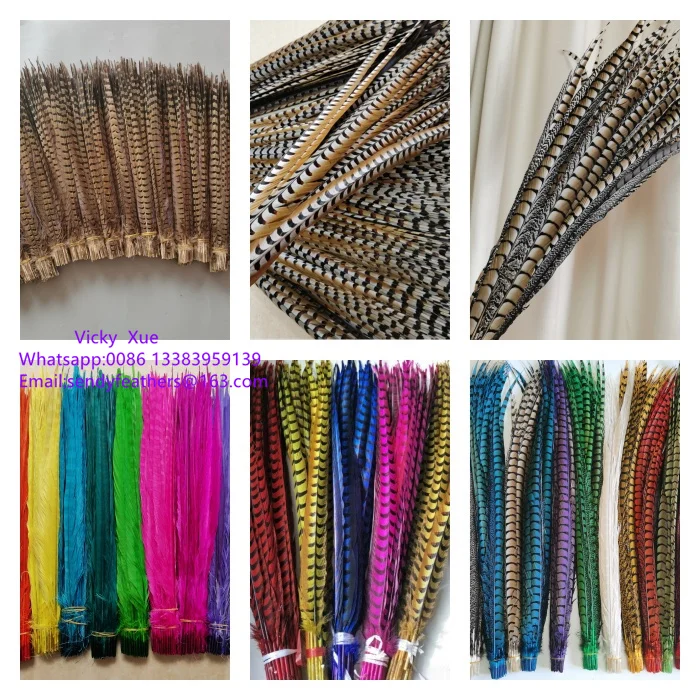 90-100cm Lady Amherst Center Tail Feathers Popular Pheasant Feathers for Carnival Costumes