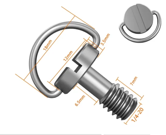 Oem Factory Price D Ring 1/4 Camera Tripod Screw Hidden Camera Mounting Screw Hidden Camera in Screws