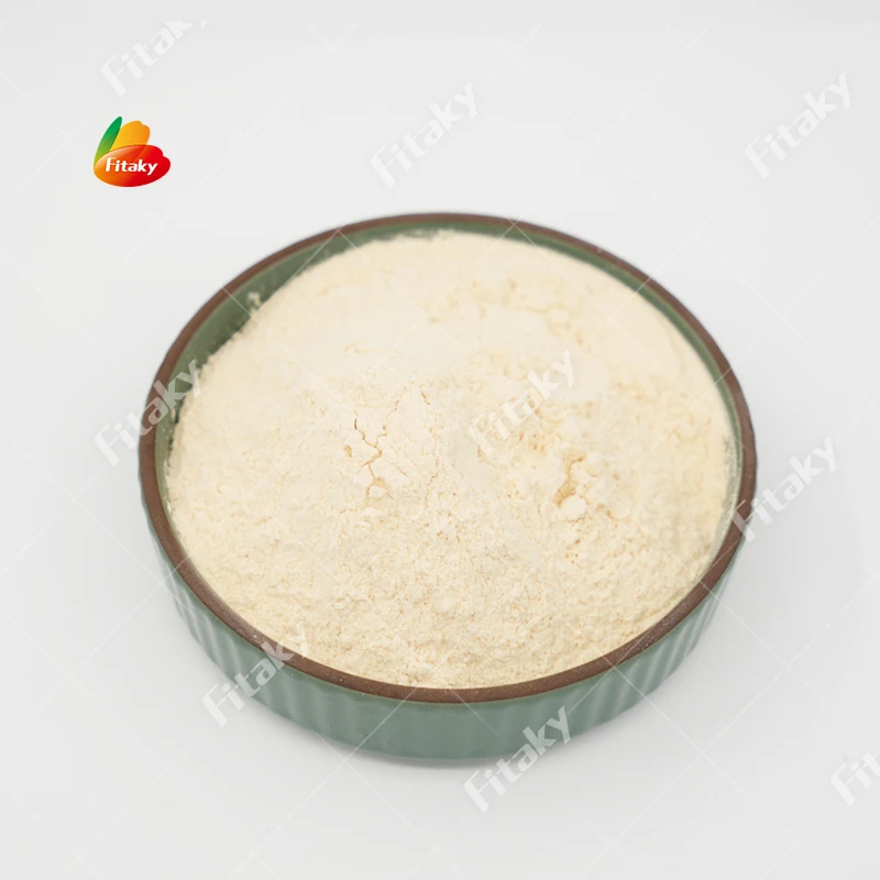 Bulk Organic Non GMO Garlic Powder Pure Garlic Powder Supplier