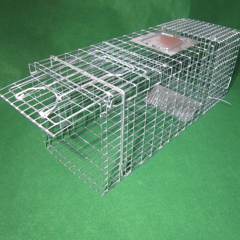 Pest Control Large Wild Animal Coyote Raccoon Live Trap