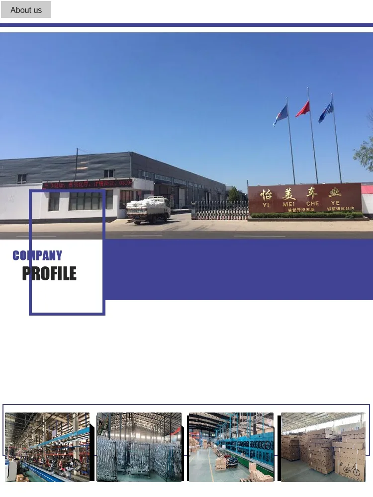 20 inch full suspension folding bike