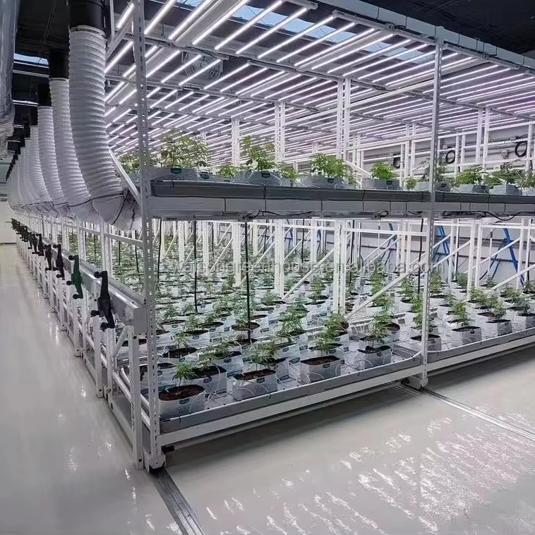 High Quality Vegetable Planting Growing System Vertical Indoor Farming Rolling Grow Rack