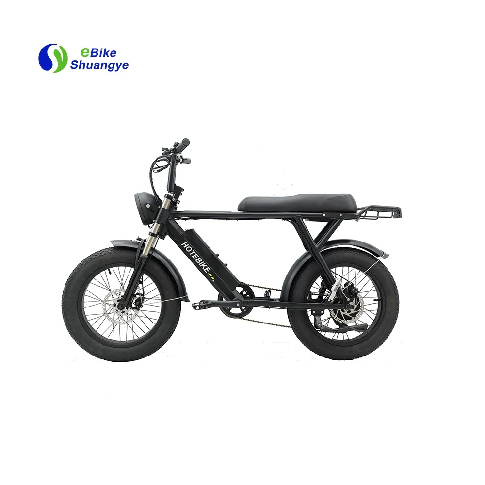 High Power Electric Bike Retro 1000w Bafang 500w Ebike 48v 7 Speed 250w Bicycle