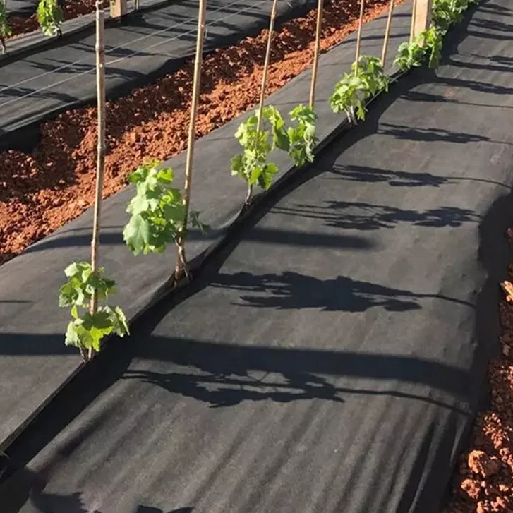 PP spunbonded Agriculture Fabric weed mat Weed Control Fabric Weed Control Mat Ground Cover Agriculture  Landscape Fabric