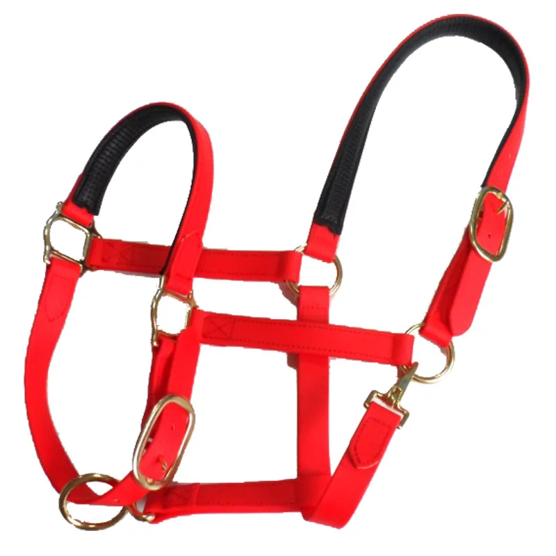 Strong and light horse halter in Green fruit color