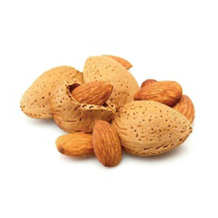 
Wholesale 1kg Healthty food Organic 100% Uzbekistan Almond Apricot Kernels for sale  (1600217722846)