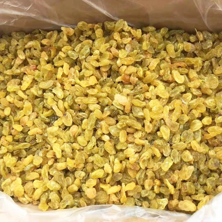 Dried Green Raisin and Green Raisins Wholesale