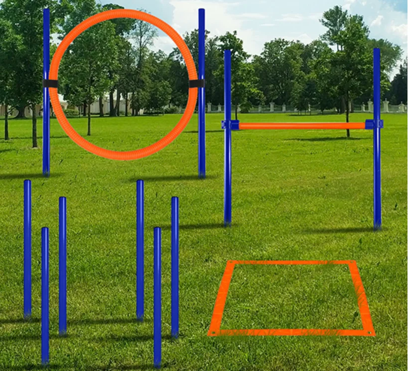 Dog  Practice Equipment Hoop Jump  Agility Dog Tire