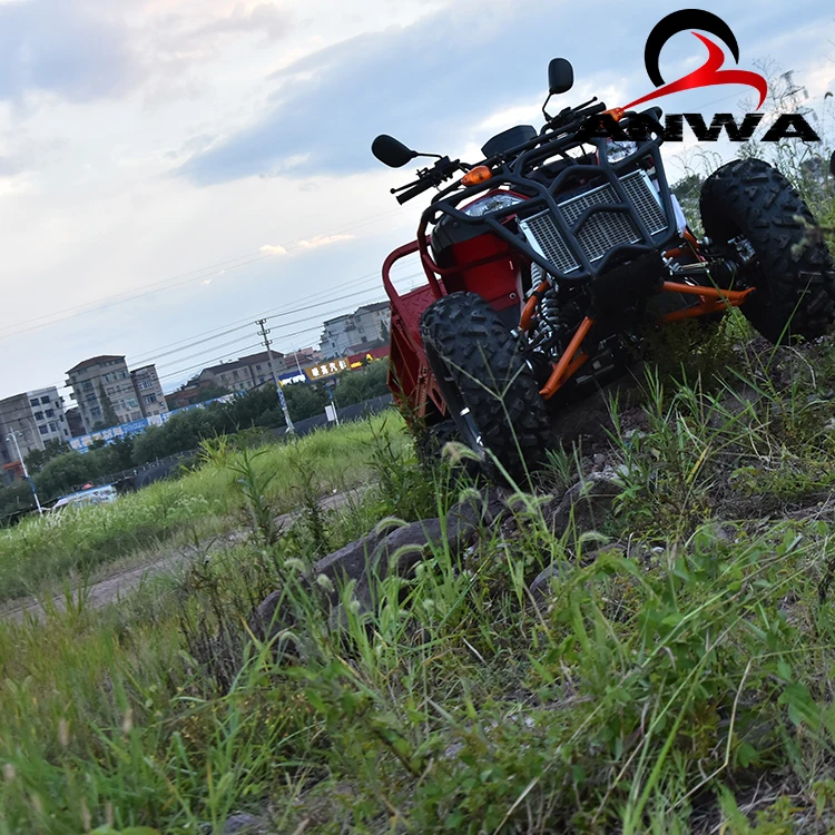  2020 утилитный фермерский квадроцикл 300cc 4X4 по низкой