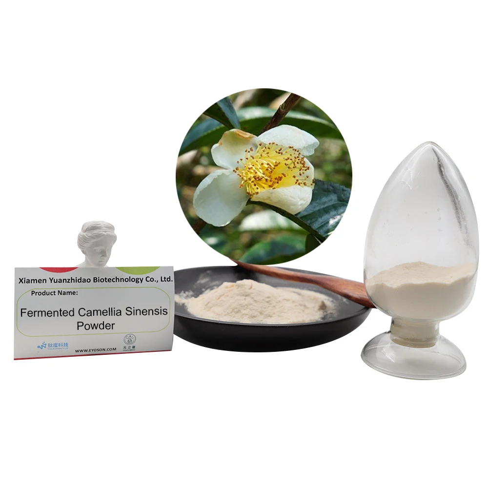 Wholesale  Fermented Camellia Nitidissima Powder Improves Immune System Function Maintain A Good Metabolism