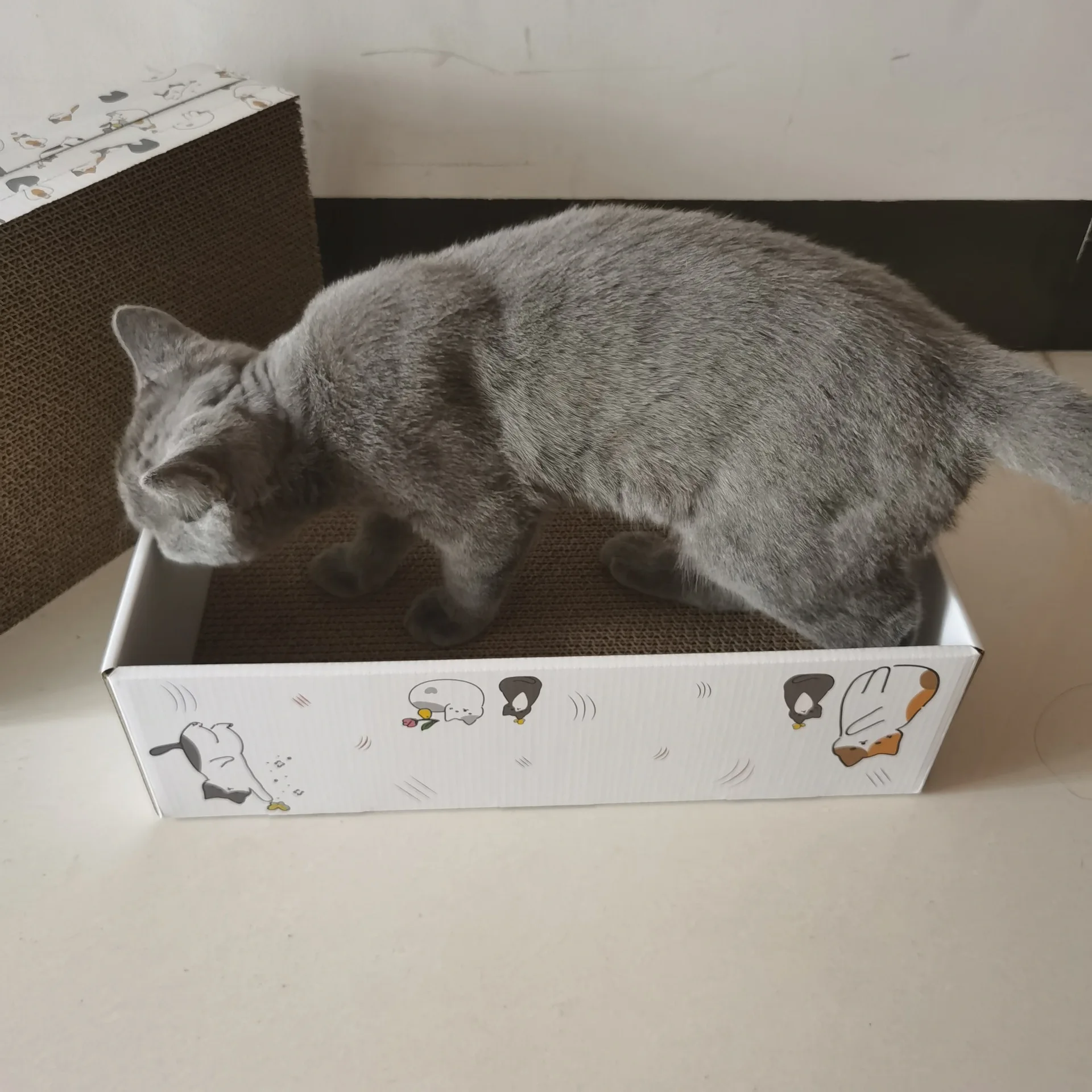 5 Pieces Cat Scratch Board Corrugated Paper Eco Friendly Cardboard Cat Scratchers Board Mat Pad For Cats