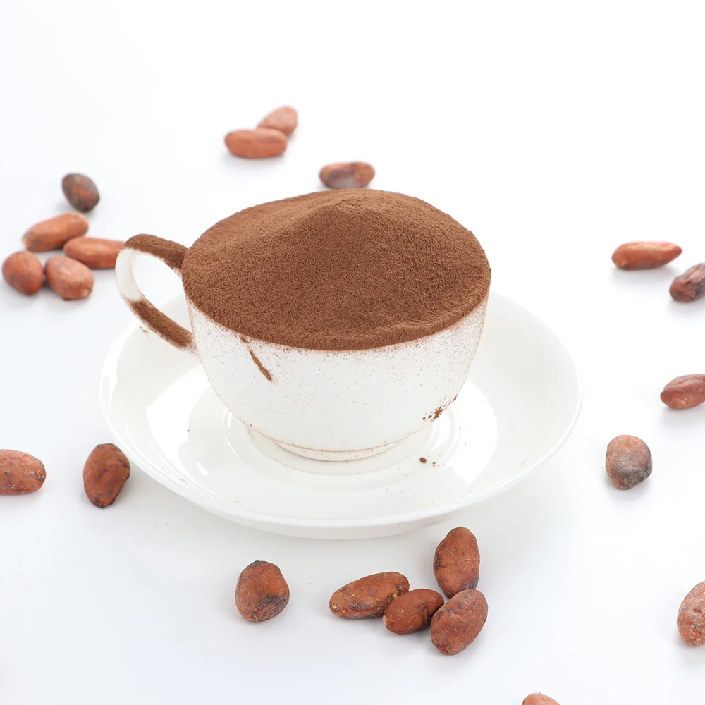 Manufacturer Price Pure Natural Cocoa Powder TR01 Factory Supplier made from West Africa cocoa bean Selling Food Grade Additives