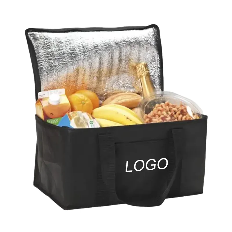 wholesale oem custom logo women cheap Waterproof small picnic plain mini tote carry thermal insulated ice lunch box cooler bag