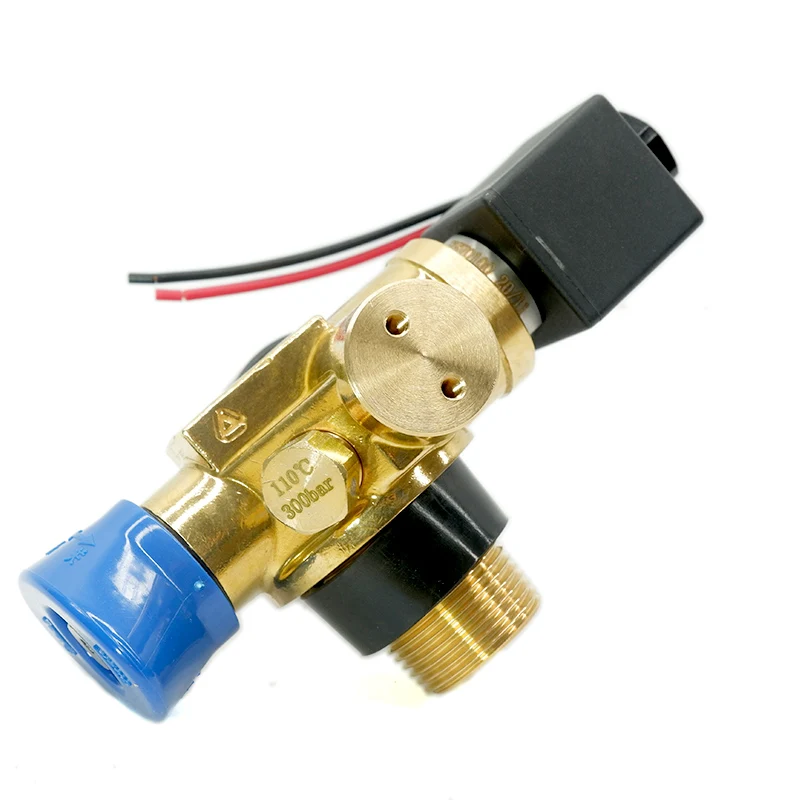 High Quality 20MPa CNG Tank Cylinder with Solenoid Valve for Wood Pellet Mills Vehicles Guaranteed Quality