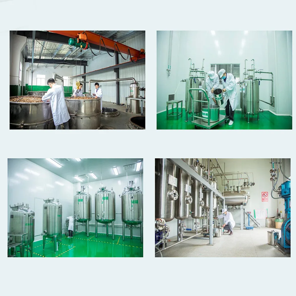 Synthetic Wintergreen Oil Methyl Salicylate Methyl Salicylate Essential Oil Penetrant