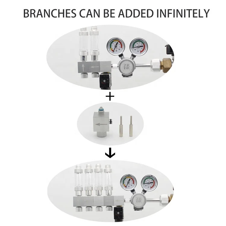 WYIN ZRDR CO2 Regulator Valve  Solenoid Aquarium Bubble Counter Carbon dioxide pressure reducing valve with shunt
