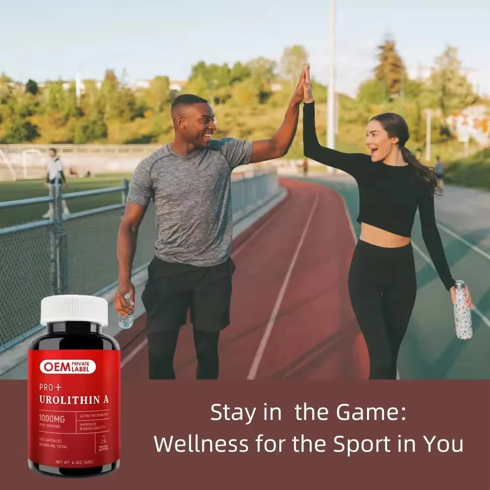 Private label Urolithin A Capsules for Cellular Vitality NAD+ Boost Urolithin A Supplements