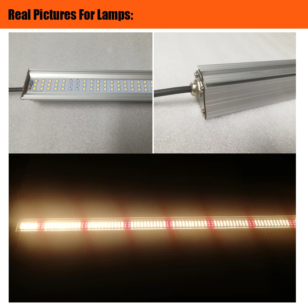 Full Spectrum LED Plant Grow Lights Greenhouse 100w LM301h LED Strip for Indoor Farm