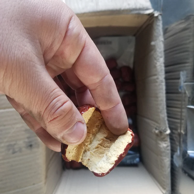 Date palm Seed Fruit Stone Removing Cherry Pit Core Remover Cutting Machine Plum Date Jujube Dried Apricot Pitting Machine