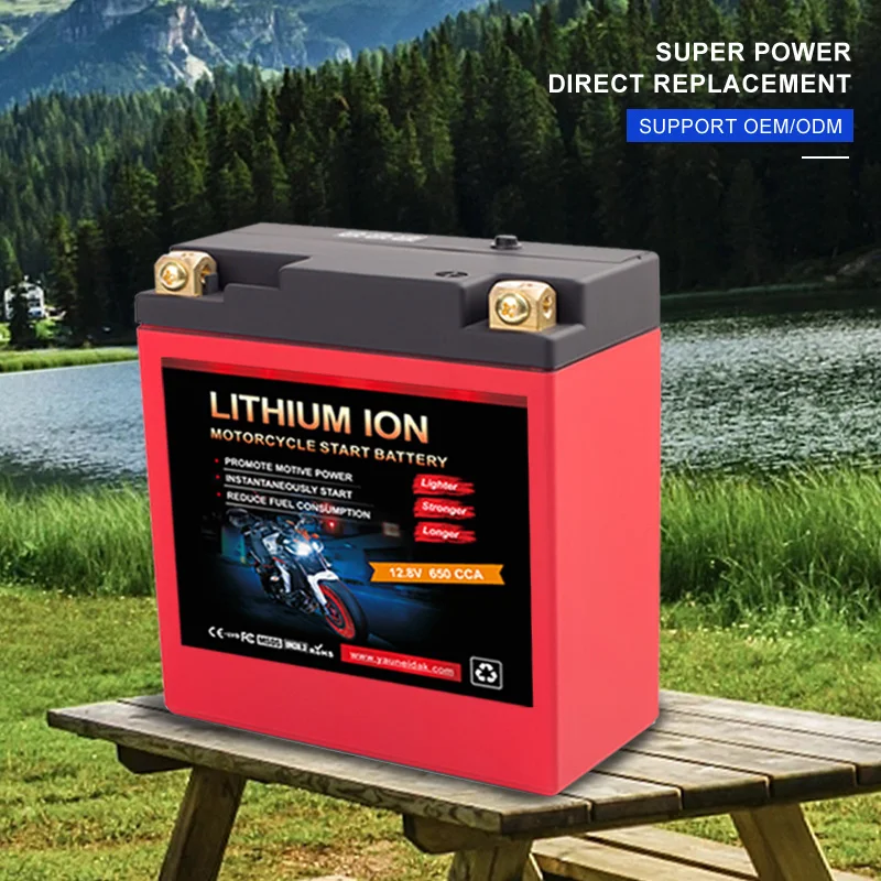 12v 12.8v 100ah 200ah 300ah Lithium Battery Lifepo4 Storage Batteries for Golf cart / RV / Yacht / Solar system / Backup
