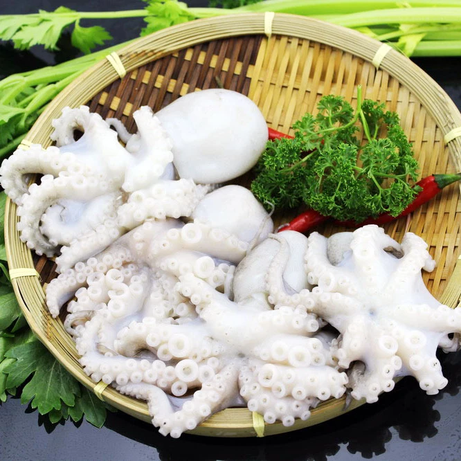 
Fresh seafood clean octopus baby octopus top quality octopus 