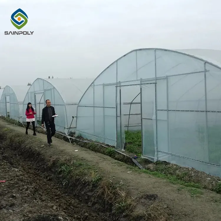 Сельскохозяйственный Тепличный туннель поли зеленый дом металлический каркас пленка теплица для 1000 кв м