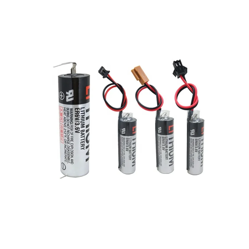 Wholesale price high quality battery ER6V 3.6V 2000mAh lithium battery with plug smoke alarm temperature monitor battery pack