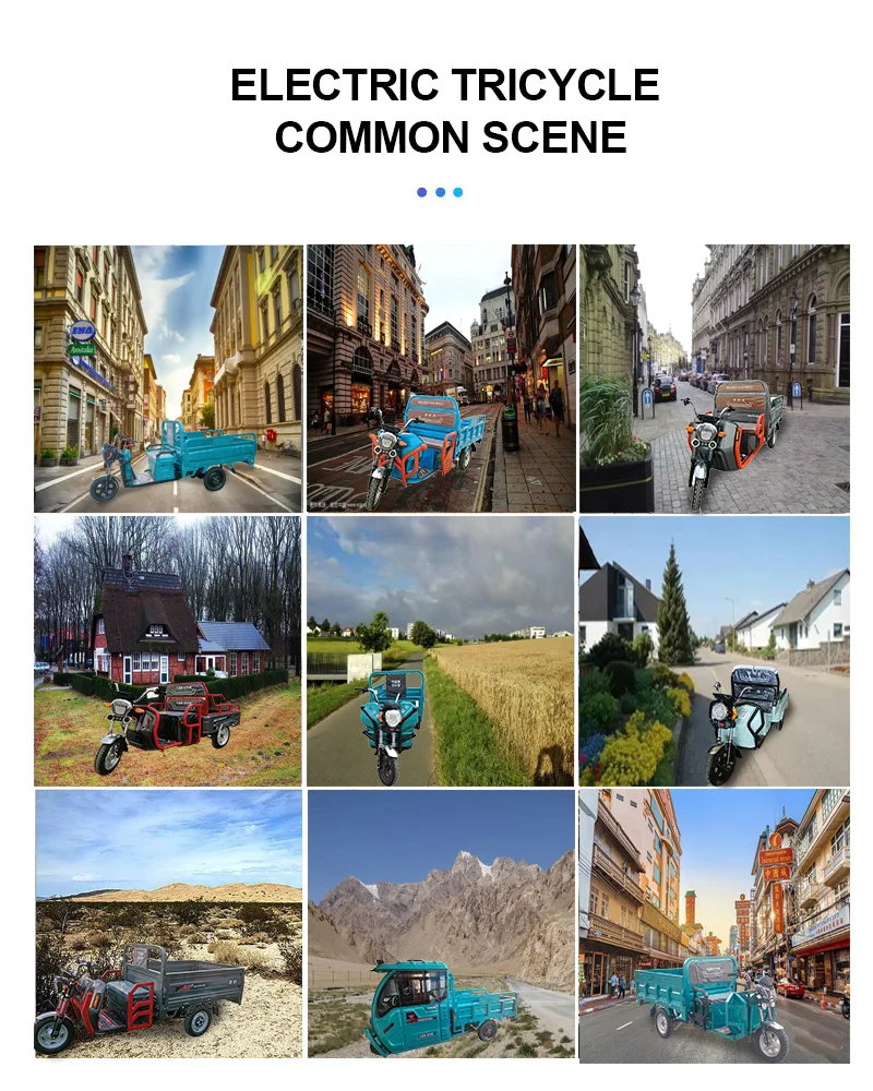 E-Trikes Cheap  Delivery Black Critter Adult Trike 7 Speed Motorized  Electric Cargo Tricycles