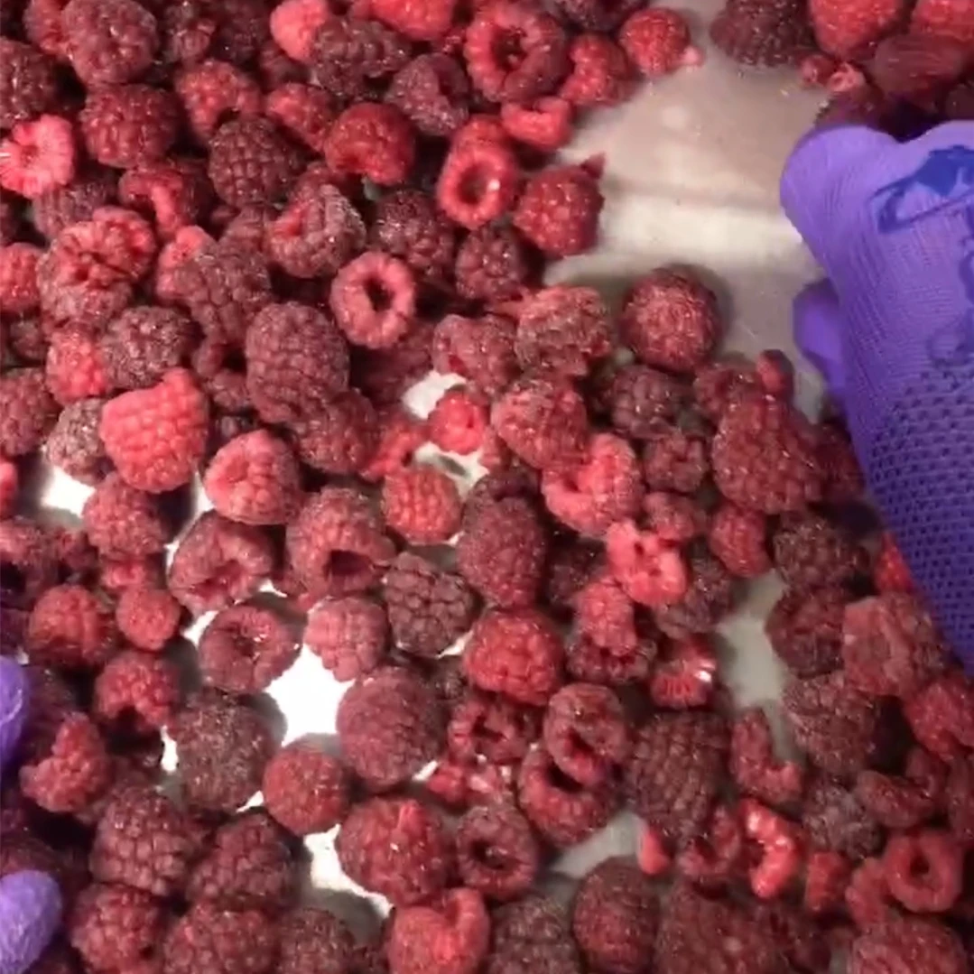 Замороженные фрукты IQF, замороженная Малина, крошка малины, ингредиент фруктового сока или пюре