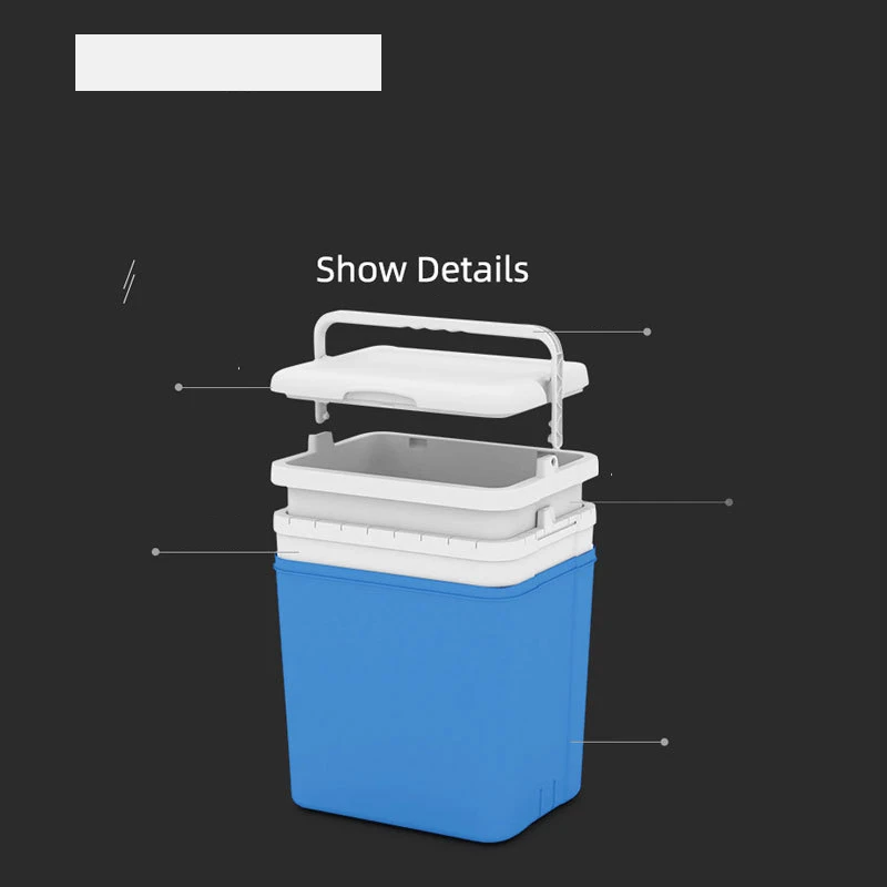 Beer Can Drinking Ice Cooler Box with Handle Blood Vaccine Plastic Low Price Promotion Mini Blue and Red 16l Carry Food