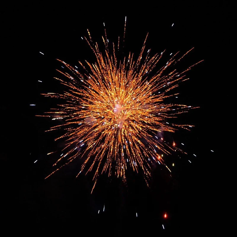 Chinese customized export fireworks salute 23 shots 0.8 inch 1.2 inch cake fireworks high quality fire works from liuyang