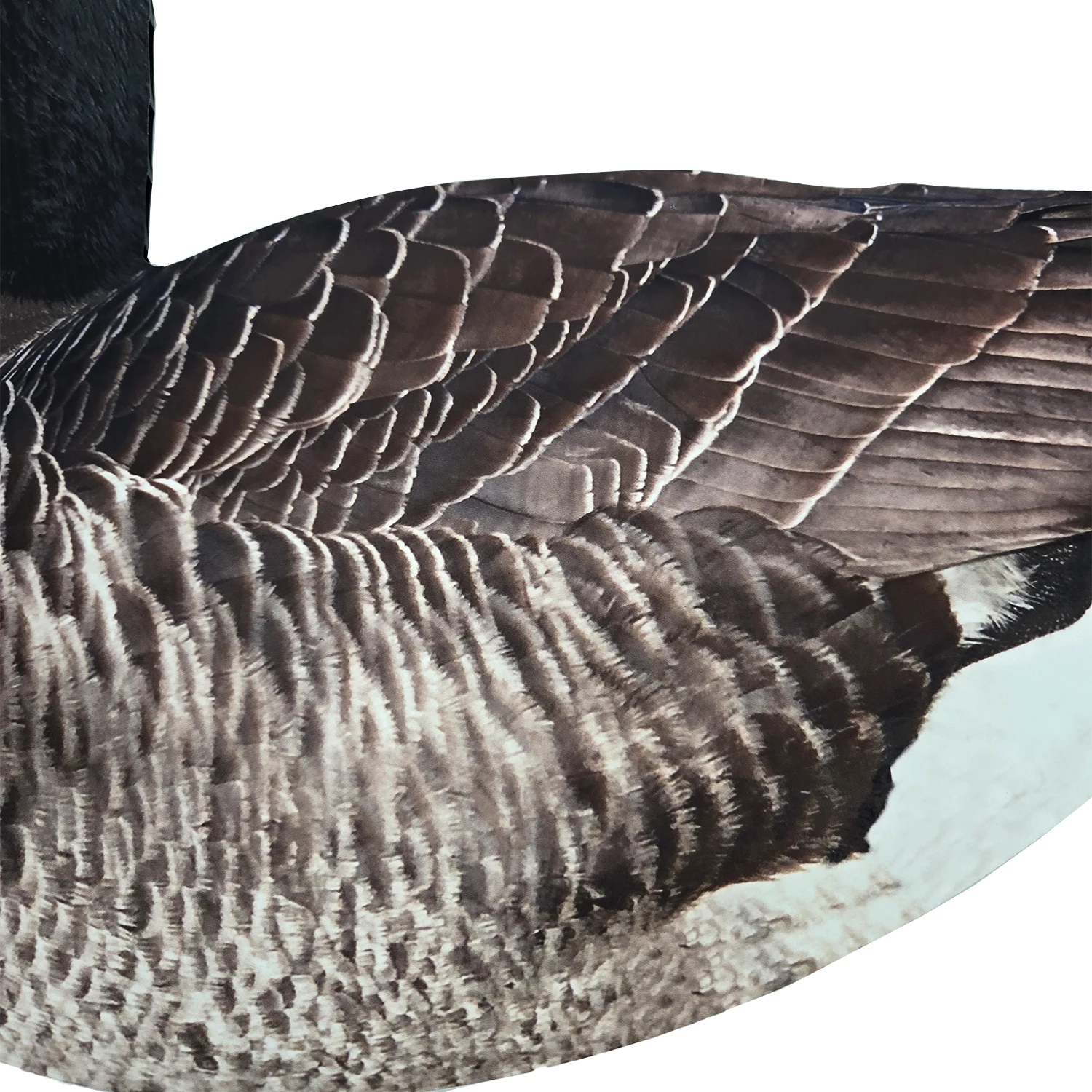 OEM Plastic Lifelike Anti-reflective PP Silhouette Goose Hunting Decoys with Stake