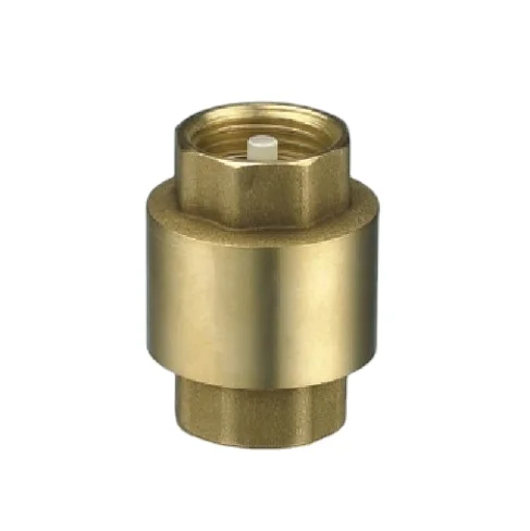 1/2 - 4 Inch Water Valve Control Vertical Spring Loaded one way non Return Check Valve With plastic ABS or Nylon holder